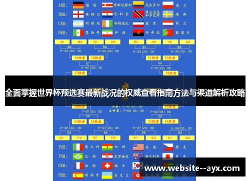 全面掌握世界杯预选赛最新战况的权威查看指南方法与渠道解析攻略