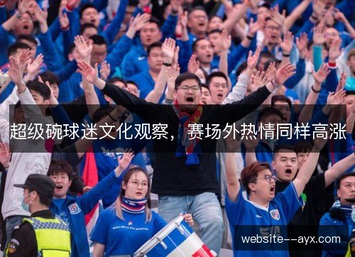 超级碗球迷文化观察,赛场外热情同样高涨 超级碗球迷文化观察,赛场外热情同样高涨